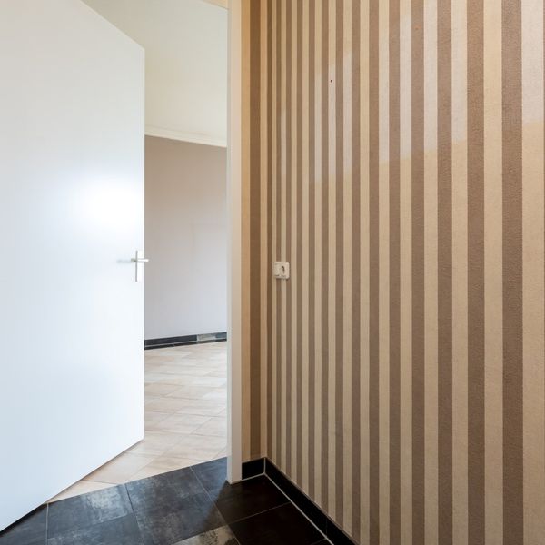 Kolblei 204, Avenhorn