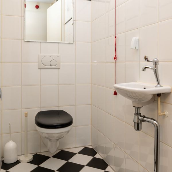 Kolblei 204, Avenhorn