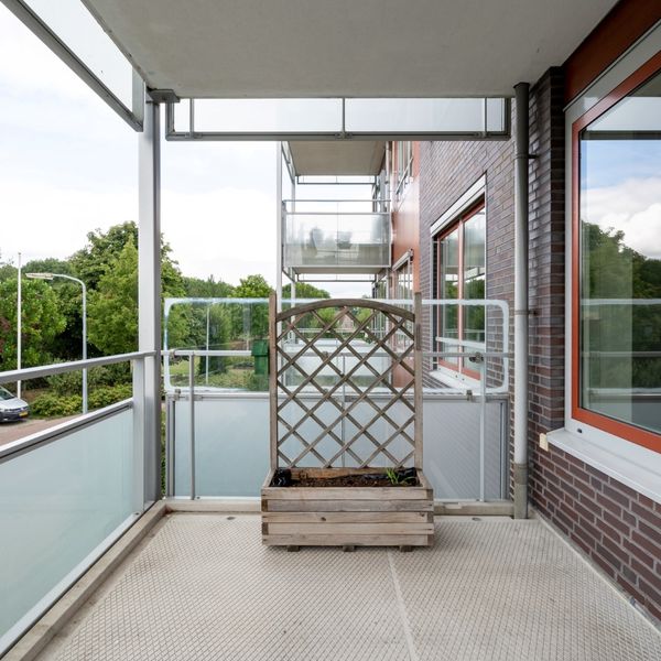 Kolblei 204, Avenhorn