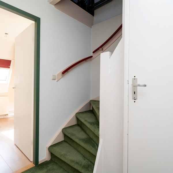 Koningsspil 7, Avenhorn