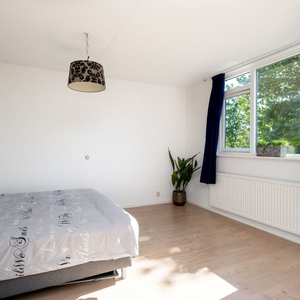 Koningsspil 7, Avenhorn