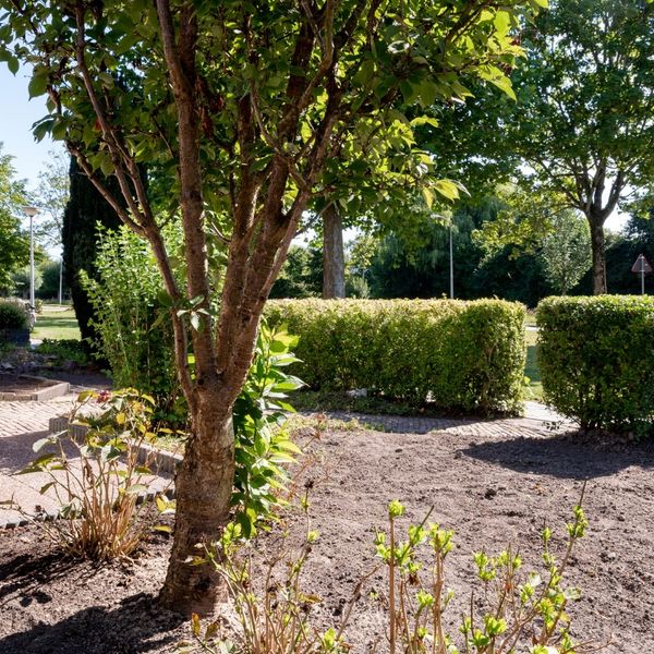 Koningsspil 7, Avenhorn