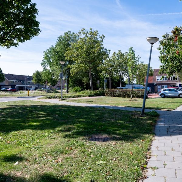 Koningsspil 7, Avenhorn