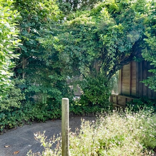 Kloostermuur 11, Wognum