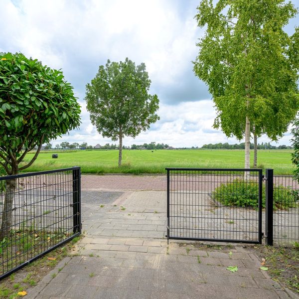 Citroengras 17, De Goorn