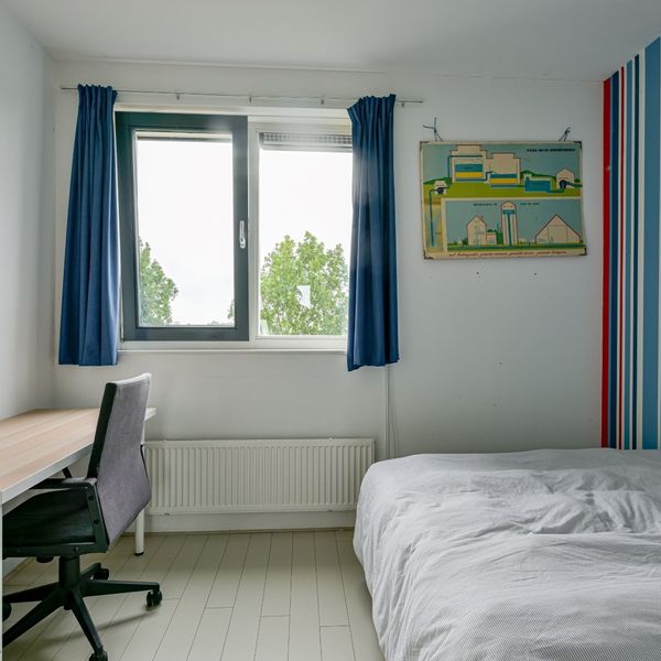 Citroengras 17, De Goorn