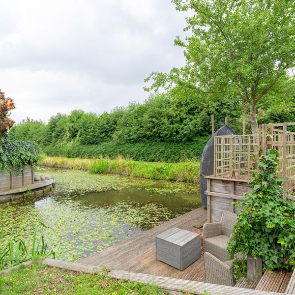 Citroengras 17, De Goorn