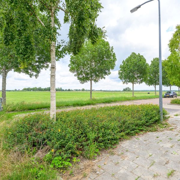 Citroengras 17, De Goorn