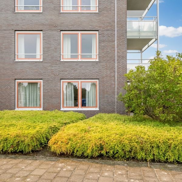 Kolblei 103, Avenhorn