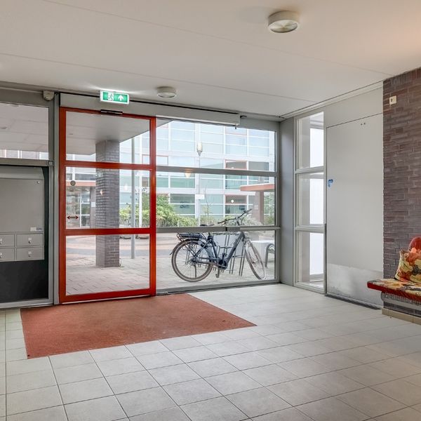 Kolblei 103, Avenhorn