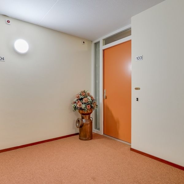 Kolblei 103, Avenhorn
