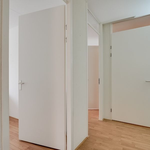 Kolblei 103, Avenhorn