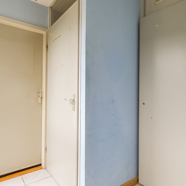 Molenhof 4, Avenhorn