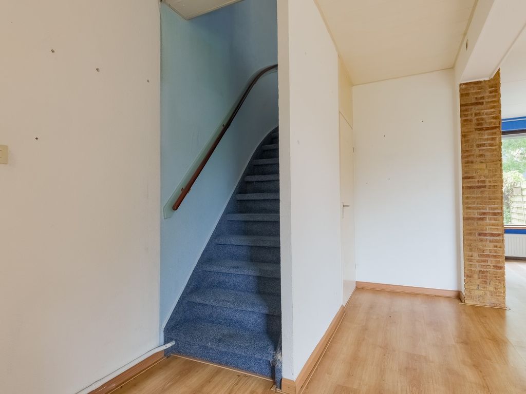 Molenhof 4, Avenhorn