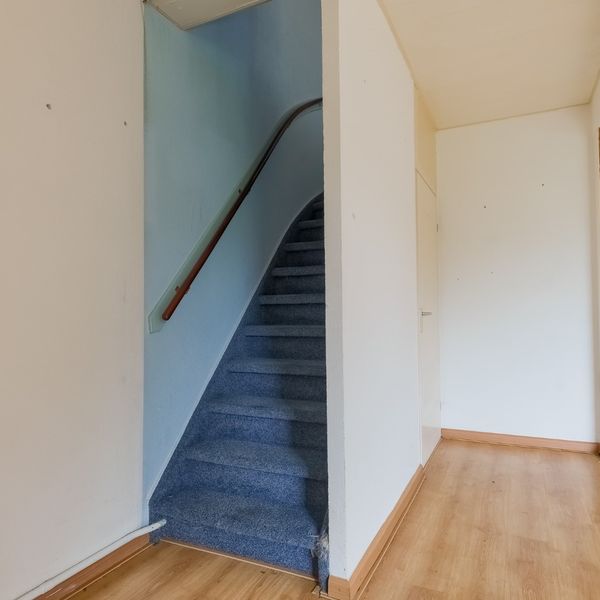 Molenhof 4, Avenhorn