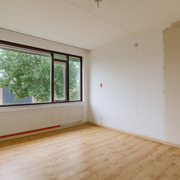 Molenhof 4, Avenhorn