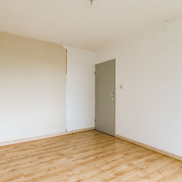 Molenhof 4, Avenhorn