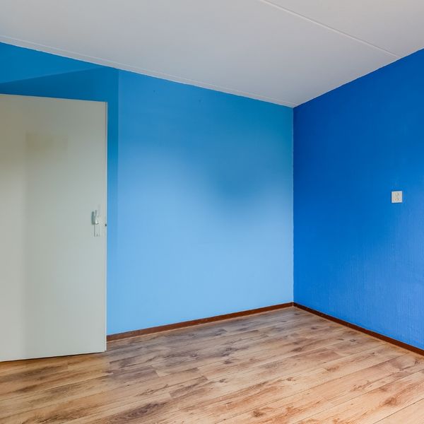 Molenhof 4, Avenhorn