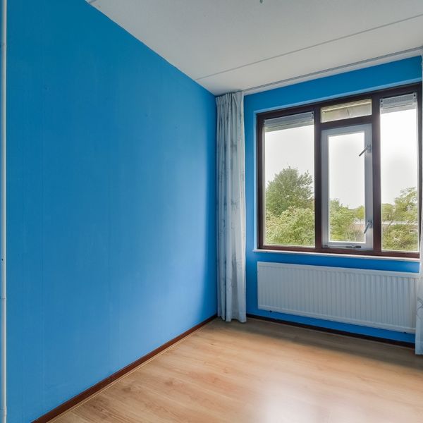 Molenhof 4, Avenhorn