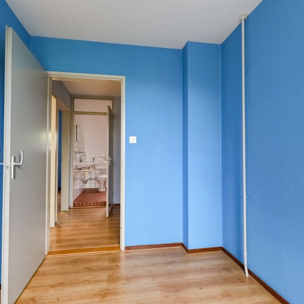 Molenhof 4, Avenhorn