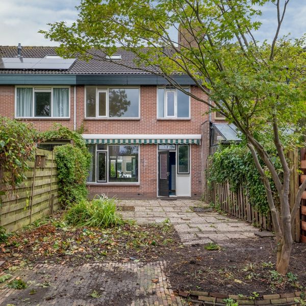 Molenhof 4, Avenhorn