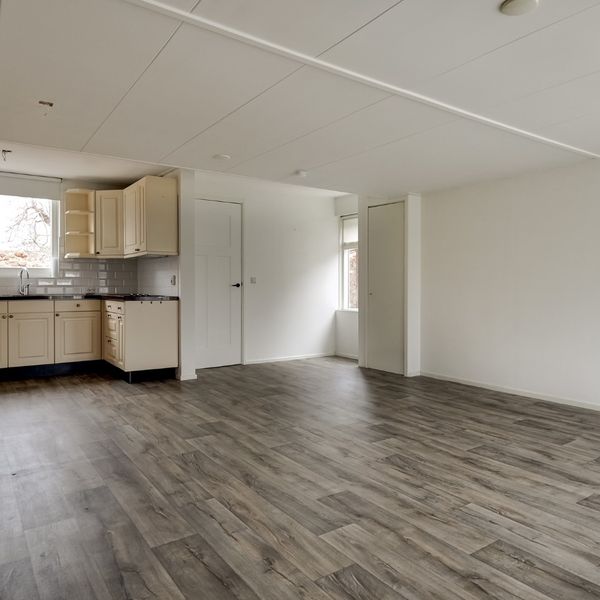 De Goorn 19, De Goorn