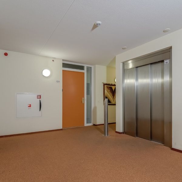 Kolblei 102, Avenhorn