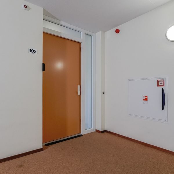 Kolblei 102, Avenhorn