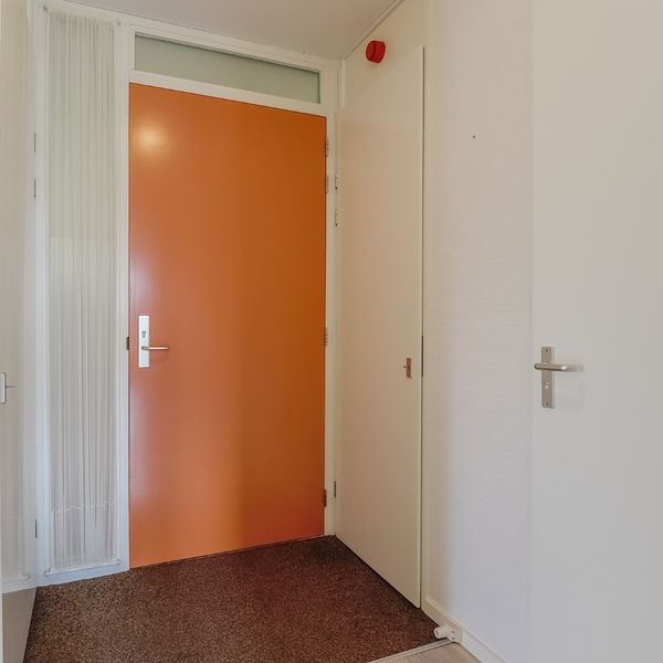 Kolblei 102, Avenhorn