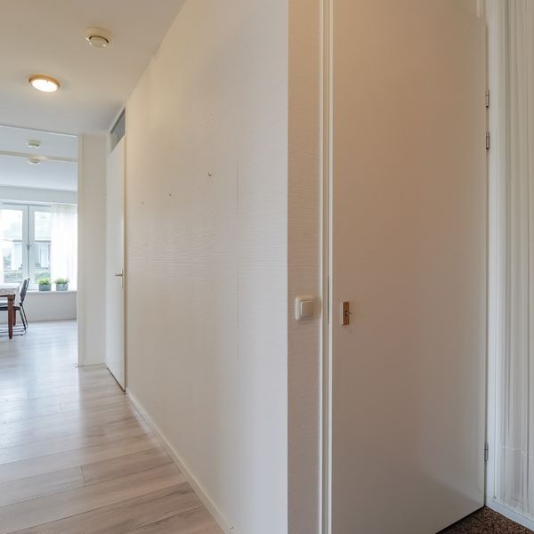 Kolblei 102, Avenhorn