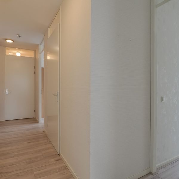 Kolblei 102, Avenhorn