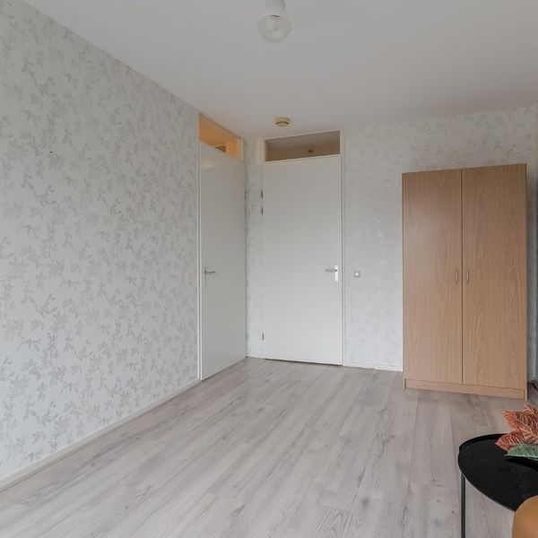 Kolblei 102, Avenhorn