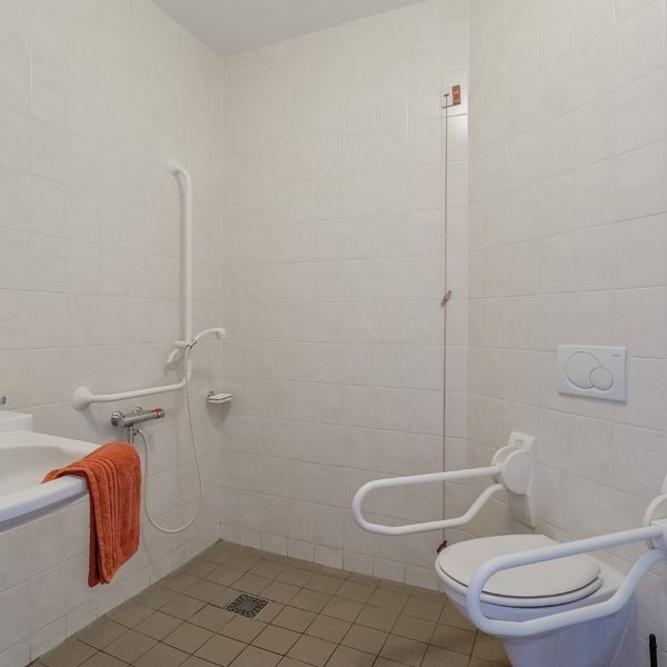 Kolblei 102, Avenhorn