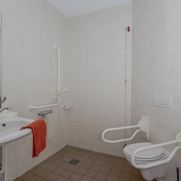 Kolblei 102, Avenhorn