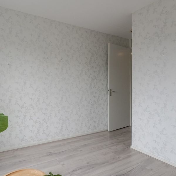 Kolblei 102, Avenhorn