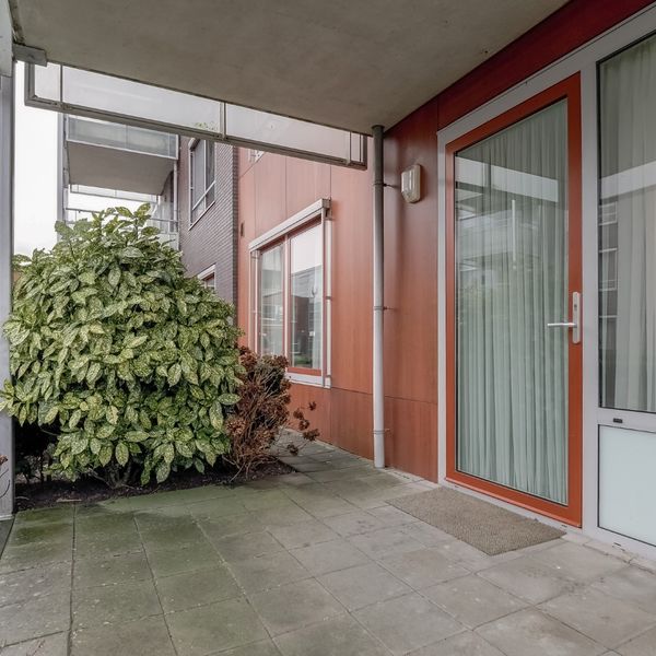 Kolblei 102, Avenhorn