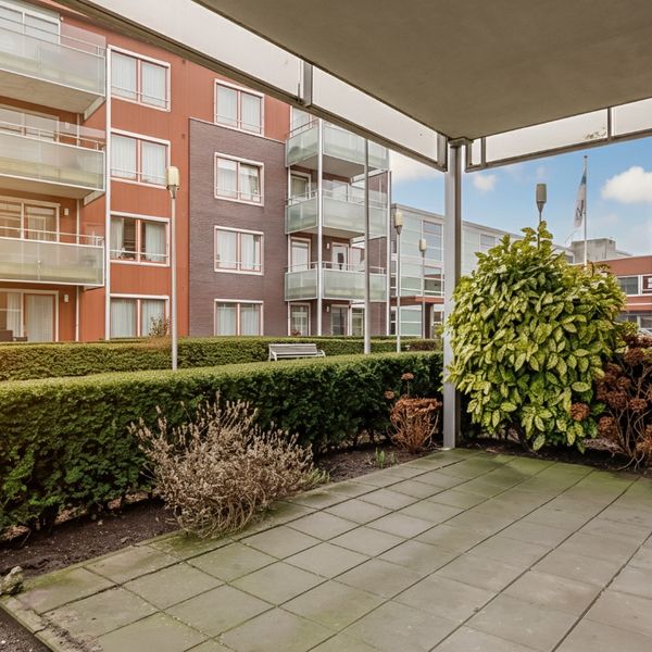 Kolblei 102, Avenhorn