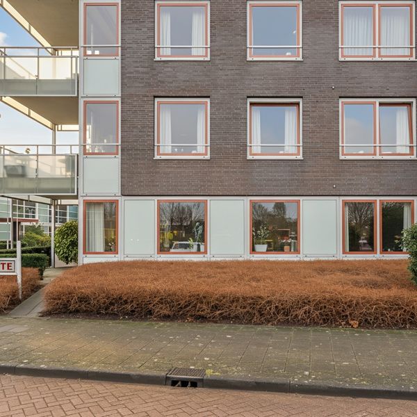 Kolblei 102, Avenhorn