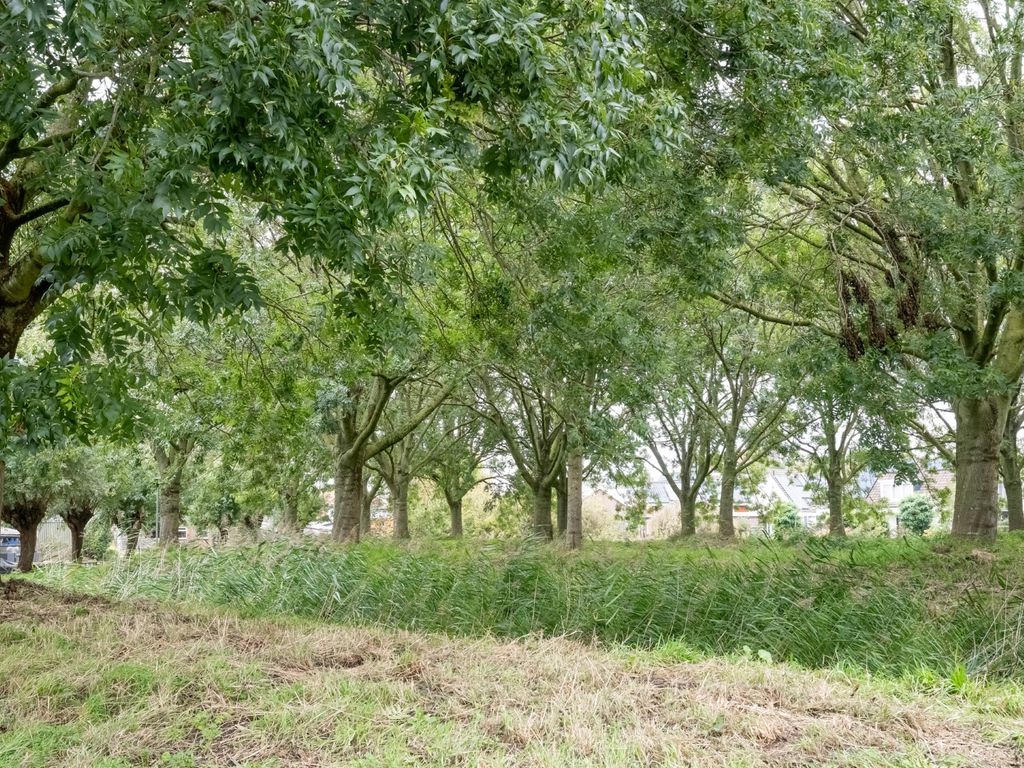 Kolblei 102, Avenhorn