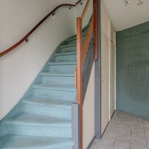 Tulpenhof 19, De Goorn