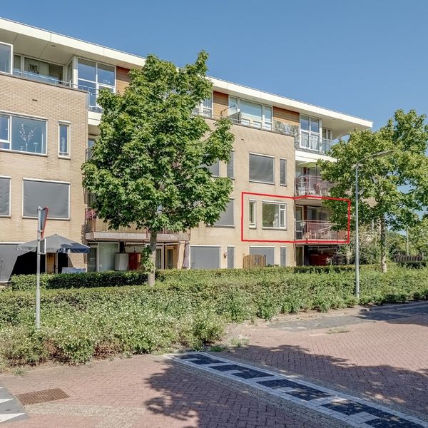 Elft 12, Avenhorn
