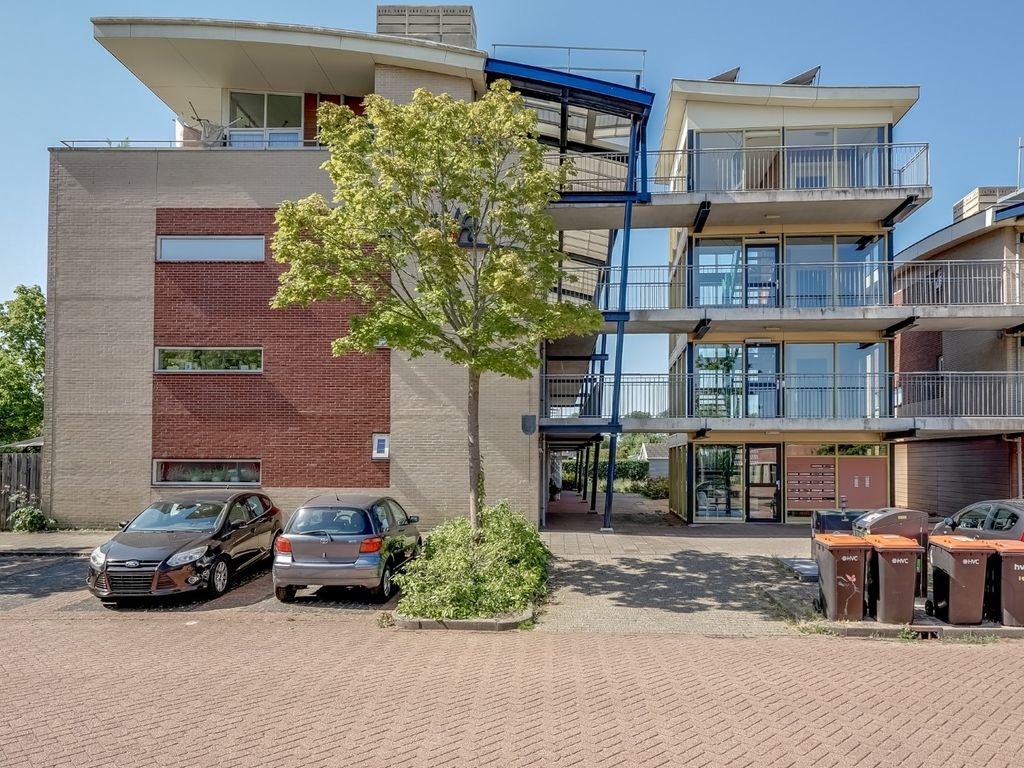 Elft 12, Avenhorn