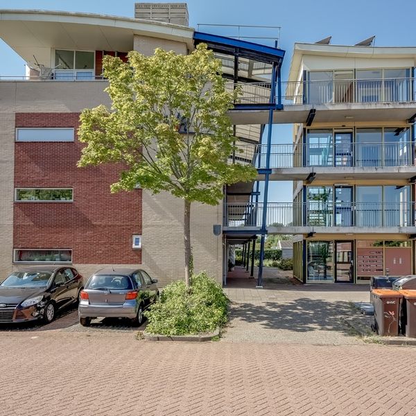 Elft 12, Avenhorn