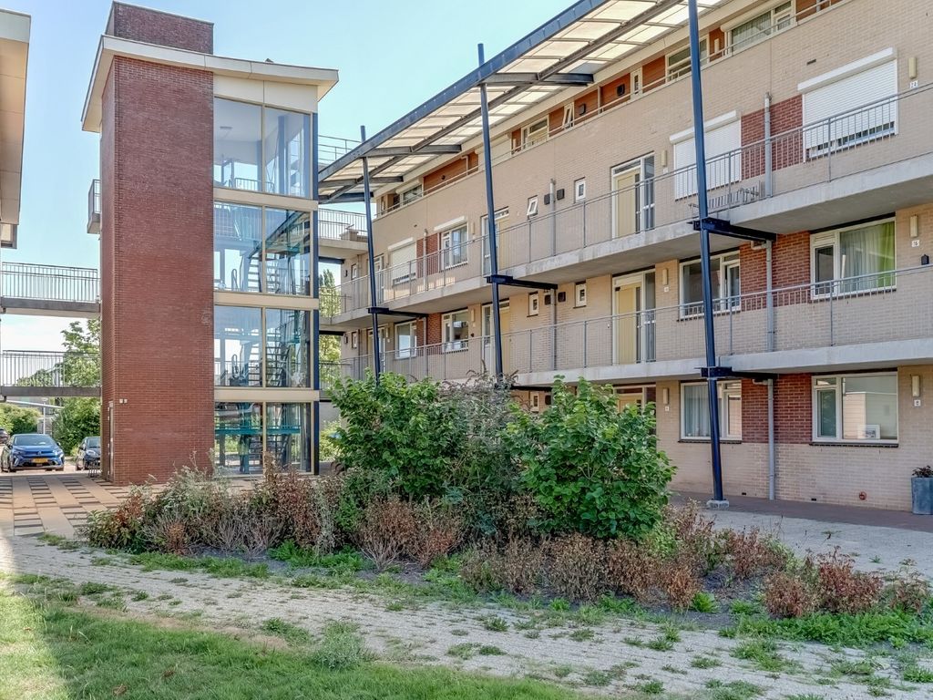 Elft 12, Avenhorn