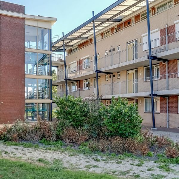 Elft 12, Avenhorn