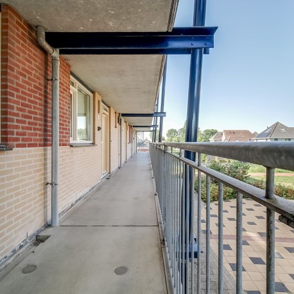 Elft 12, Avenhorn