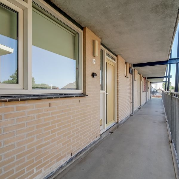 Elft 12, Avenhorn