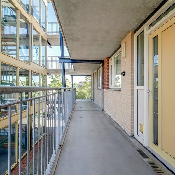 Elft 12, Avenhorn