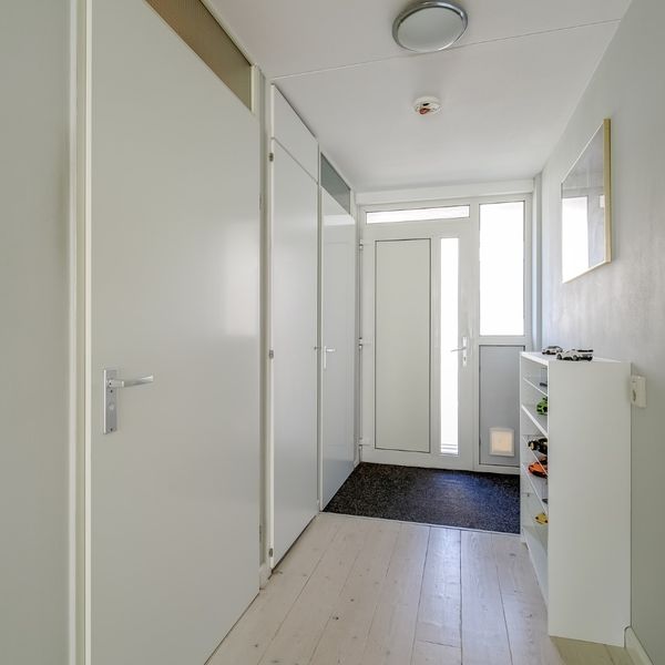 Elft 12, Avenhorn