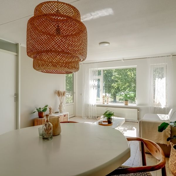 Elft 12, Avenhorn